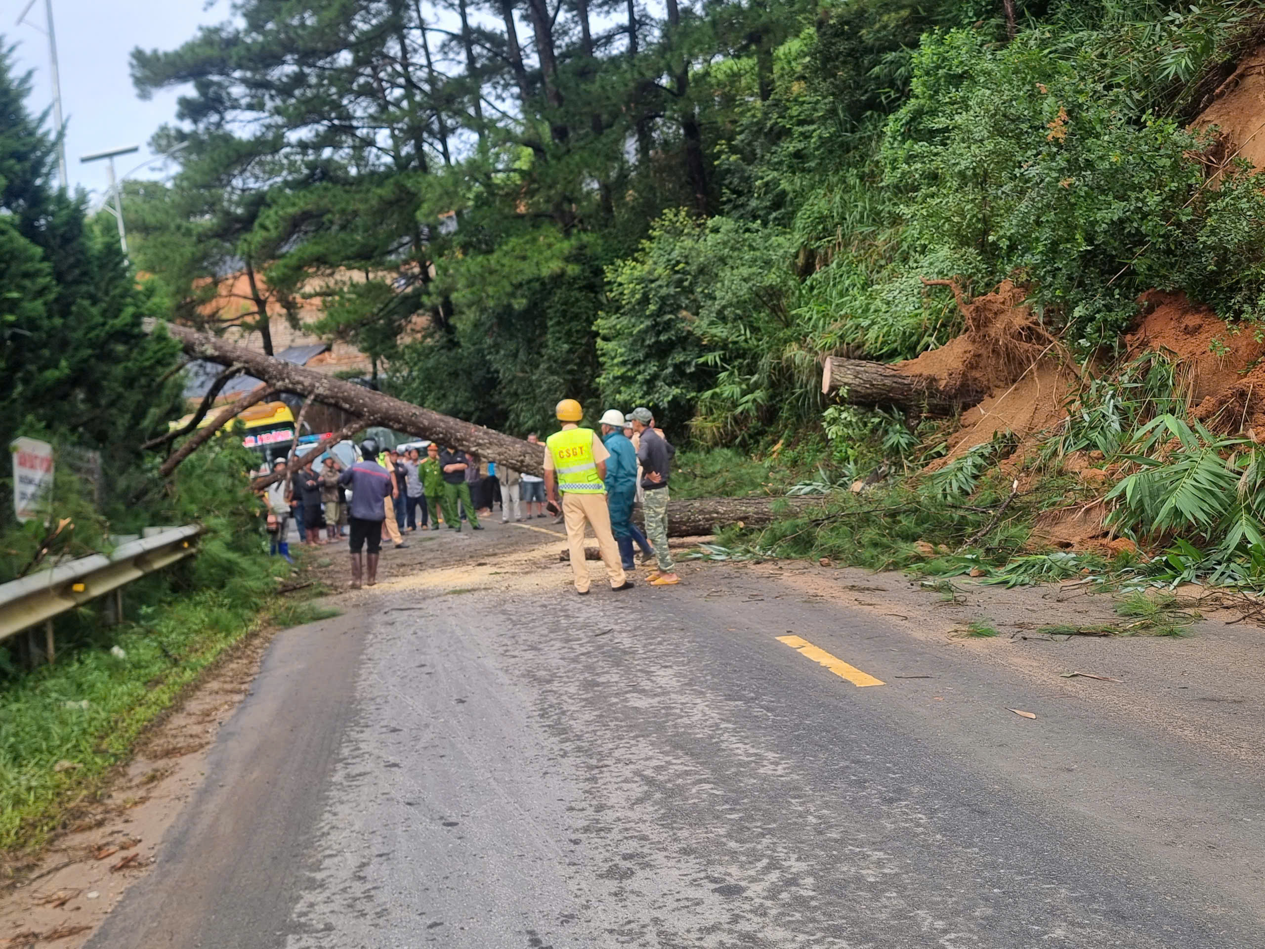 Nhanh chóng khắc phục sạt lở trên tuyến đèo cửa ngõ vào Đà Lạt - 2