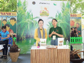 TP.HCM thúc đẩy ngành nghề nông thôn: Từ kết nối OCOP đến yêu cầu một chương trình trọng điểm