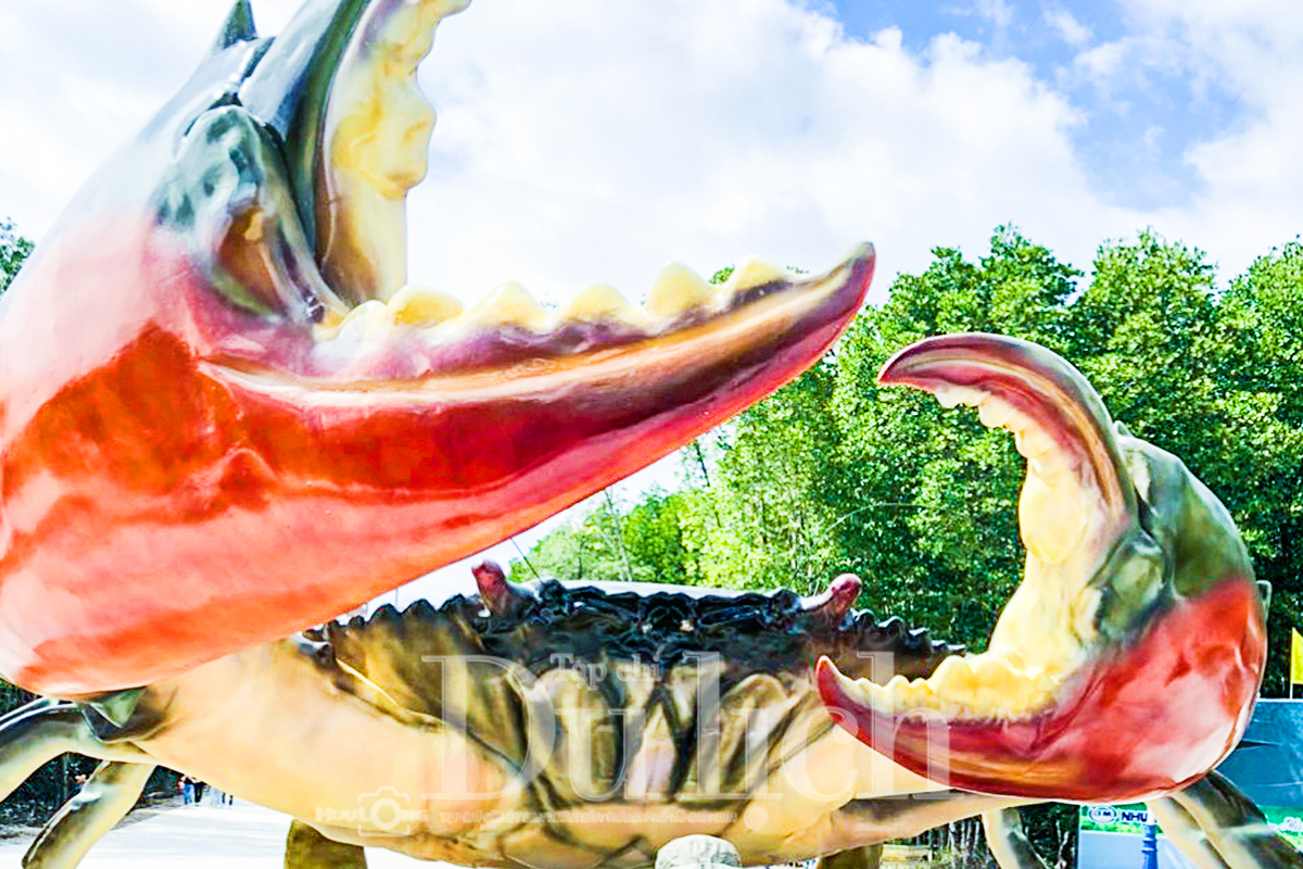 ‘Xin chào Cà Mau 2025’: Mang đặc sản Cua và cơ hội đầu tư Đất Mũi đến TP.HCM - 1