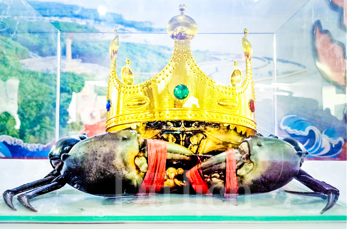 ‘Xin chào Cà Mau 2025’: Mang đặc sản Cua và cơ hội đầu tư Đất Mũi đến TP.HCM - 3