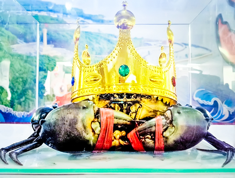 ‘Xin chào Cà Mau 2025’: Mang đặc sản Cua và cơ hội đầu tư Đất Mũi đến TP.HCM