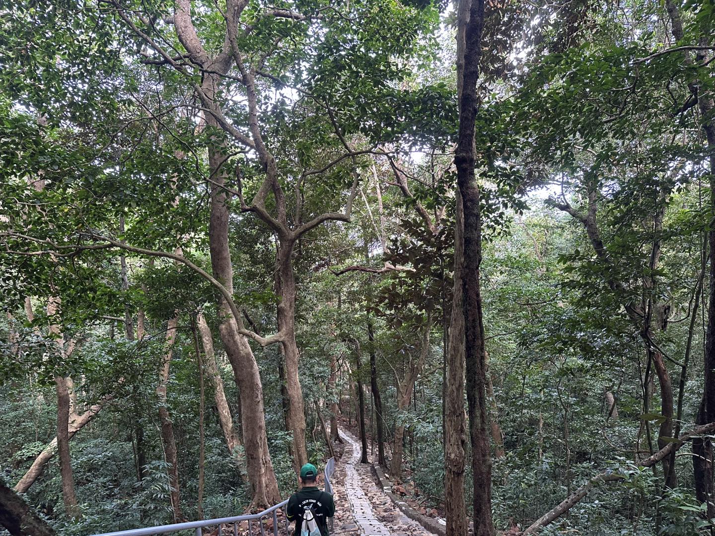 Mở lại cung đường trekking nổi tiếng Côn Đảo - 1
