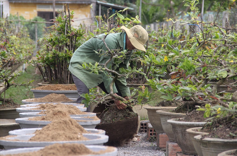 TP.HCM xây dựng hệ sinh thái chính sách cho ngành nghề nông thôn - 3
