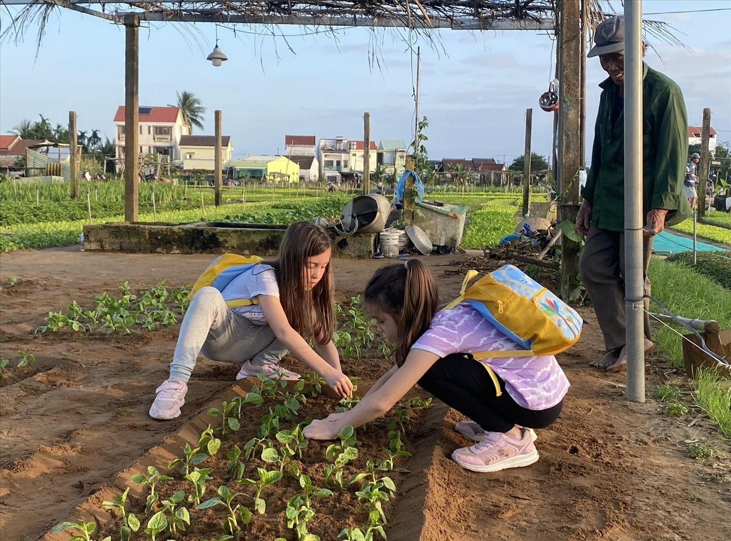 giai ma tra que: bai hoc chinh sach nao cho du lich lang nghe tp.hcm? - 7