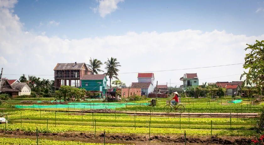 giai ma tra que: bai hoc chinh sach nao cho du lich lang nghe tp.hcm? - 8