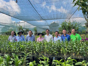 TP.HCM: “Cởi trói” hạ tầng sản xuất, tăng hiệu quả chính sách cho ngành nghề nông thôn