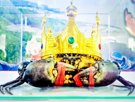  - ‘Xin chào Cà Mau 2025’: Mang đặc sản Cua và cơ hội đầu tư Đất Mũi đến TP.HCM