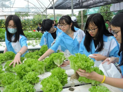 TP.HCM thúc đẩy kinh tế nông thôn bằng chuyển đổi số