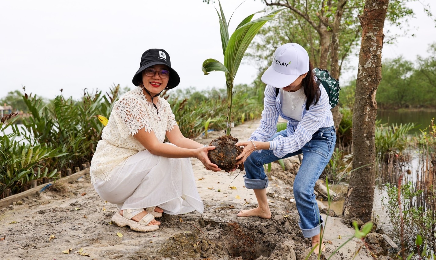 Đến Huế, trải nghiệm tour du lịch giảm nhựa có gì thú vị? - 2