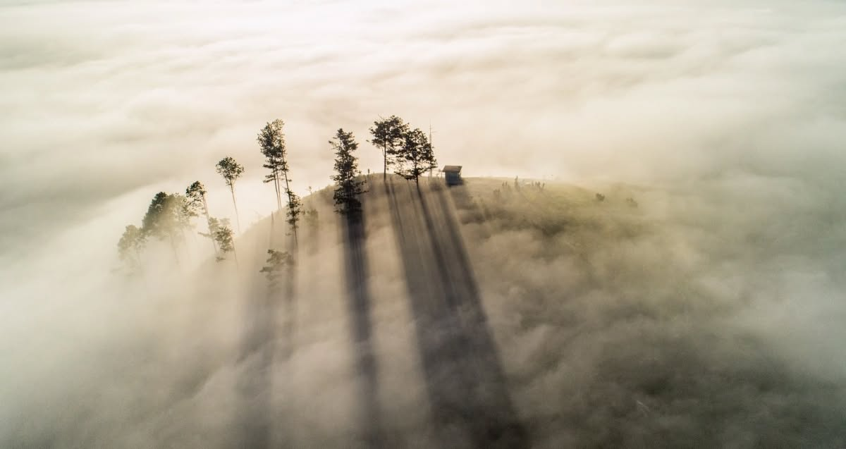 Cuộc săn ánh sáng ở Đà Lạt chinh phục tạp chí du lịch nổi tiếng thế giới - 6