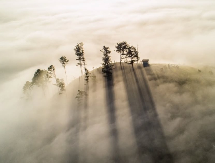 Cuộc săn ánh sáng ở Đà Lạt chinh phục tạp chí du lịch nổi tiếng thế giới