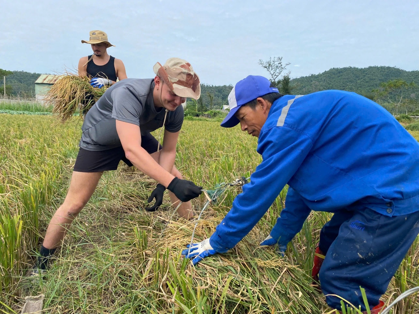 “khach tay” di du lich xuong ruong gat lua, keo cay cung nong dan tren dao co to - 4