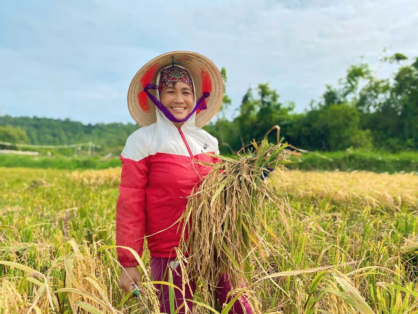 “khach tay” di du lich xuong ruong gat lua, keo cay cung nong dan tren dao co to - 6