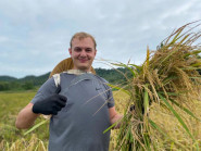 “Khách Tây” đi du lịch xuống ruộng gặt lúa, kéo cày cùng nông dân trên đảo Cô Tô