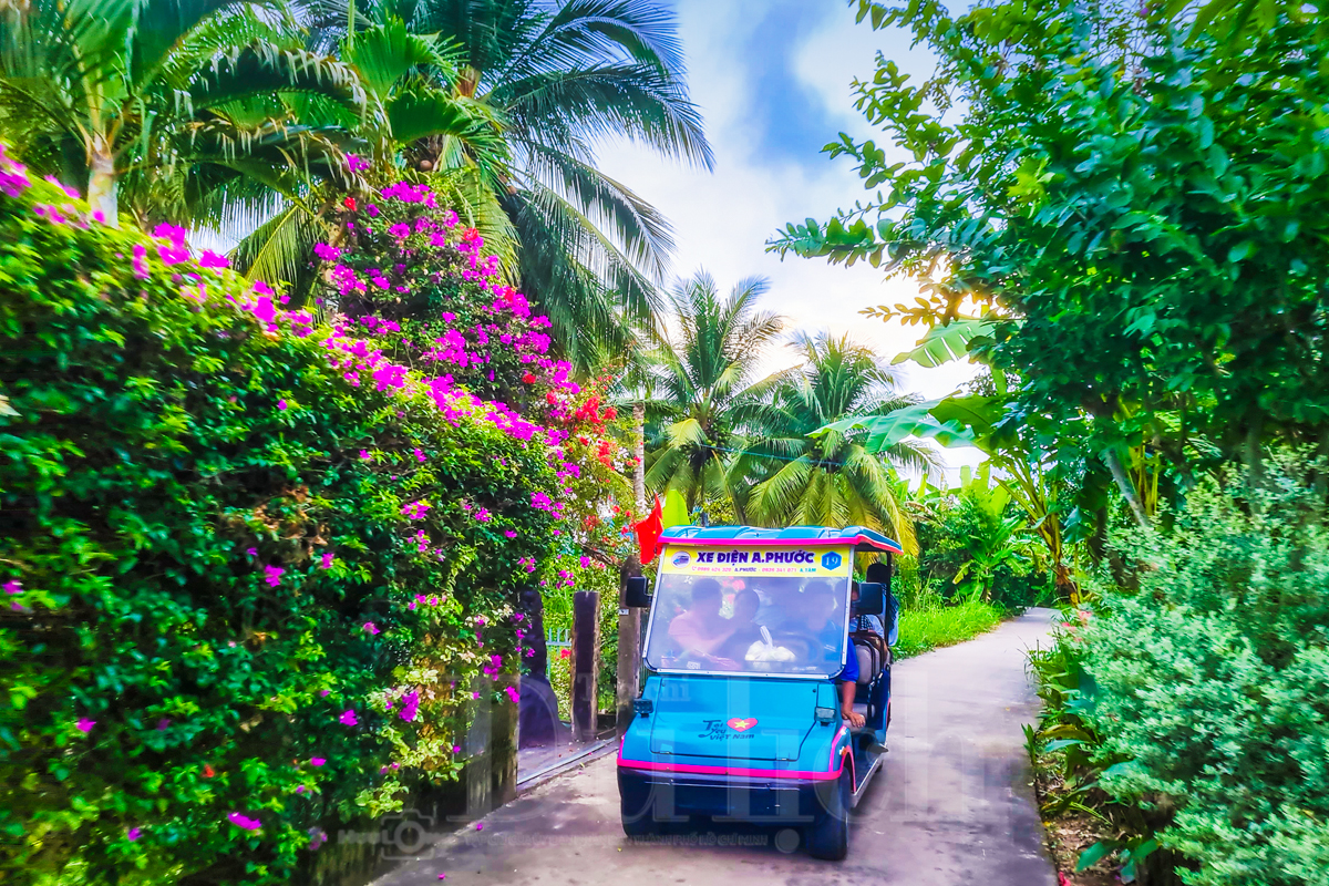 Dọc ngang miền sông nước ghé thăm xưởng đóng thuyền bên cồn - 2