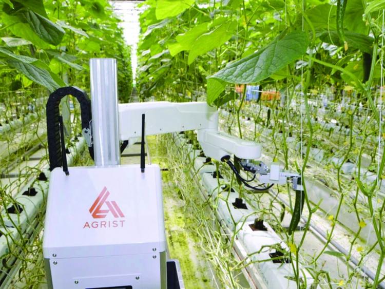 Giải pháp AI cho nông nghiệp: Bắt đầu từ số hóa dữ liệu cấp xã, huyện