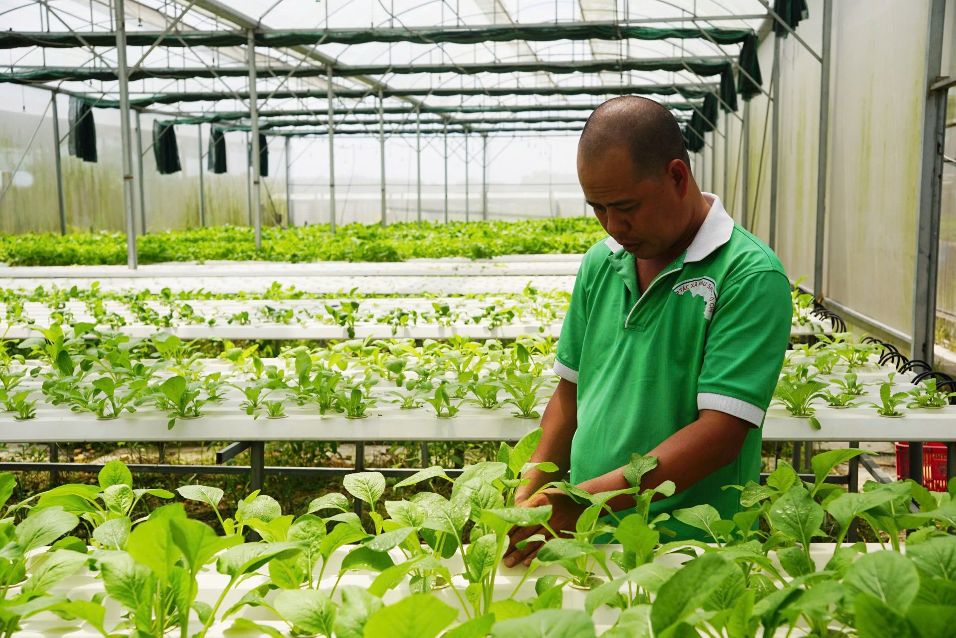 Giải pháp AI cho nông nghiệp: Bắt đầu từ số hóa dữ liệu cấp xã, huyện - 2