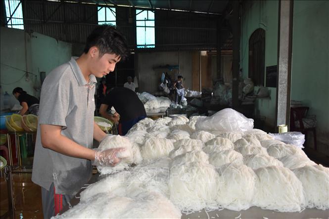 TP.HCM tăng hiệu quả chính sách khuyến nông: Xây 38 mô hình, tập huấn 253 lớp, hỗ trợ 40 thương hiệu - 1