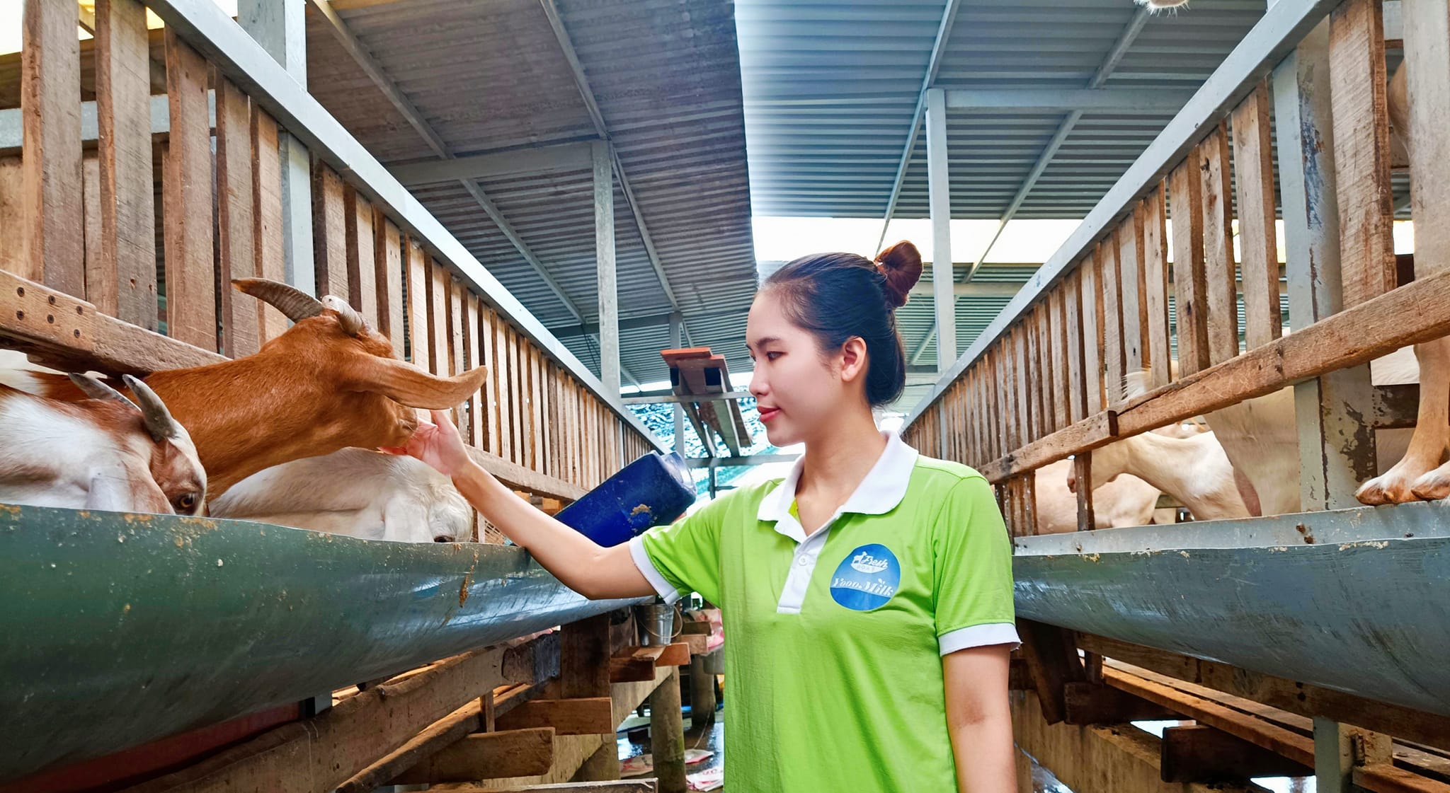 TP.HCM tăng hiệu quả chính sách khuyến nông: Xây 38 mô hình, tập huấn 253 lớp, hỗ trợ 40 thương hiệu - 2