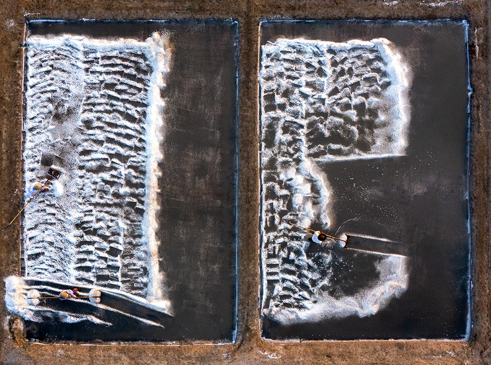 TP.HCM Mở rộng: Nâng tầm ngành muối bằng công nghệ cao và liên kết du lịch - 1