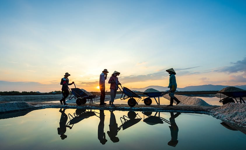 TP.HCM Mở rộng: Nâng tầm ngành muối bằng công nghệ cao và liên kết du lịch - 2