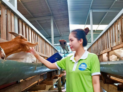 TP.HCM tăng hiệu quả chính sách khuyến nông: Xây 38 mô hình, tập huấn 253 lớp, hỗ trợ 40 thương hiệu