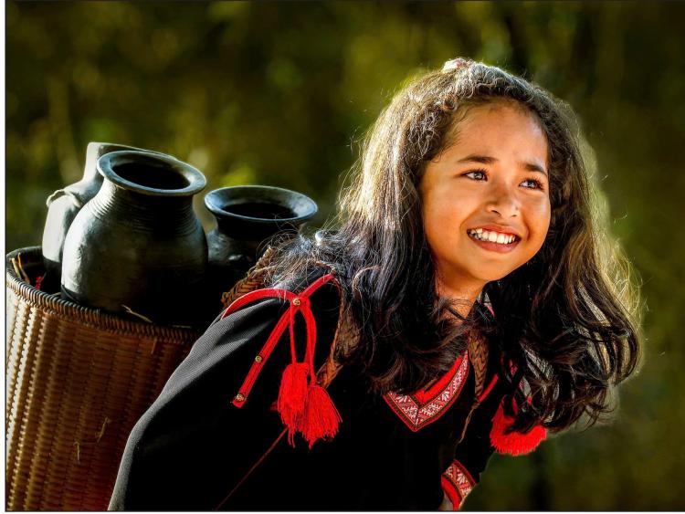 Hơn ba thập niên tung cánh Hải Âu