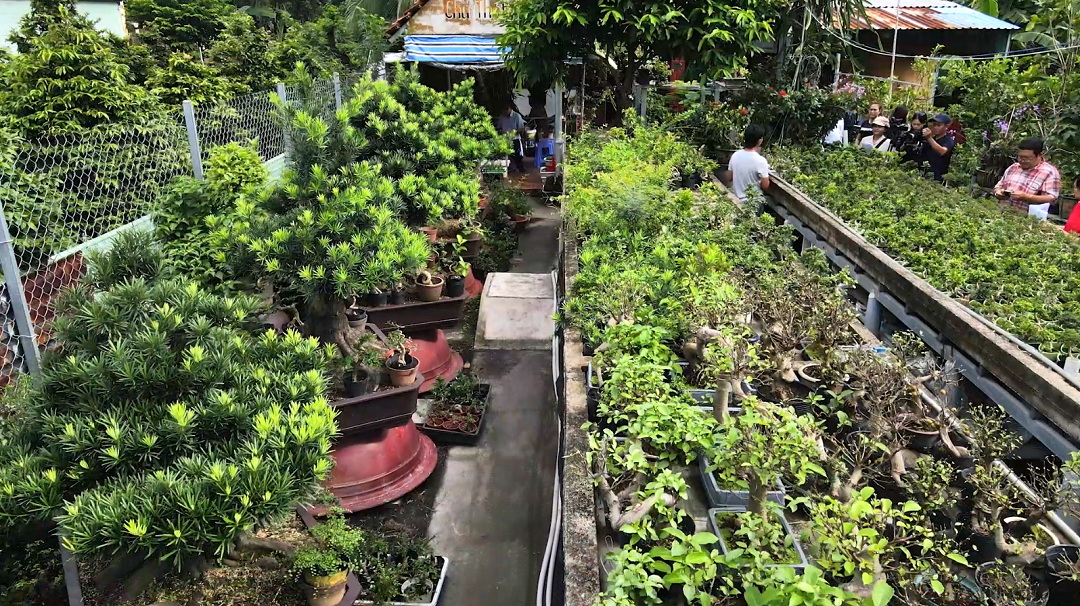 TP.HCM: Ngành nghề nông thôn phát triển từ OCOP và công nghệ cao - 2