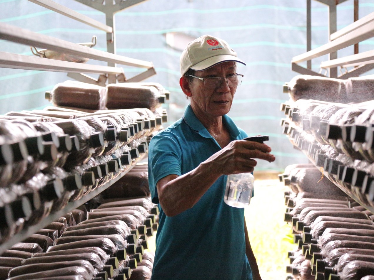 Nông nghiệp đô thị: Giải pháp công nghệ và bài học từ mô hình trồng nấm - 2