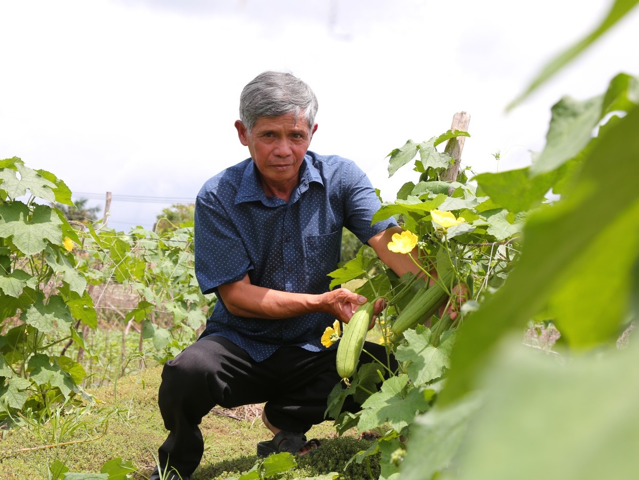 TP.HCM: Hiệu quả chính sách hỗ trợ và điển hình nông dân VietGAP - 1