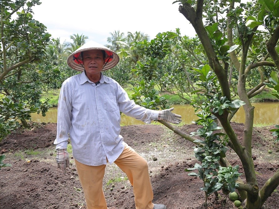TP.HCM: Điển hình cải tạo đất phèn và bài toán chính sách cho 'vàng xanh' - 1