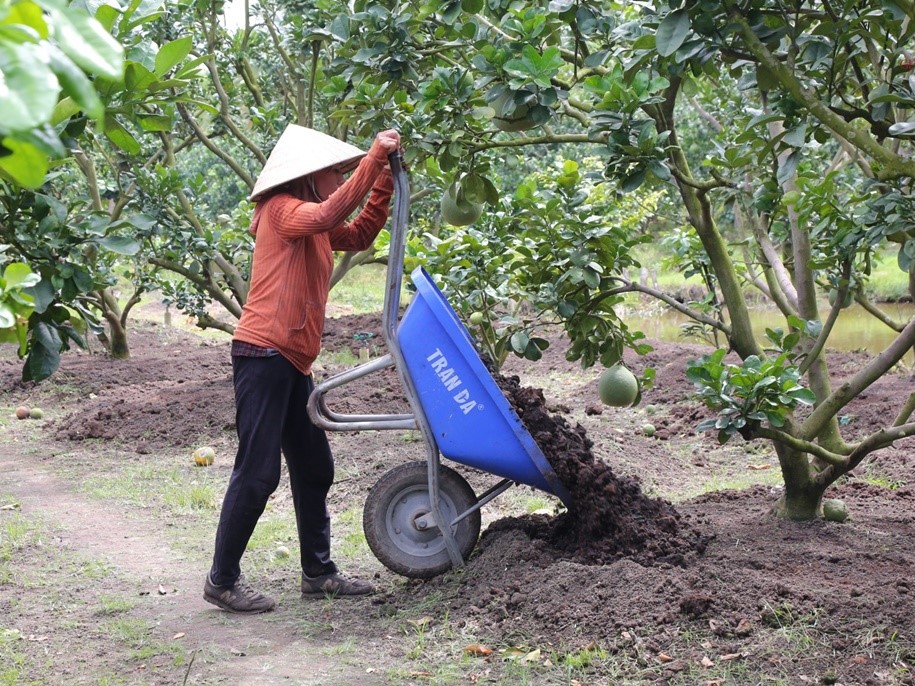 TP.HCM: Điển hình cải tạo đất phèn và bài toán chính sách cho 'vàng xanh' - 2