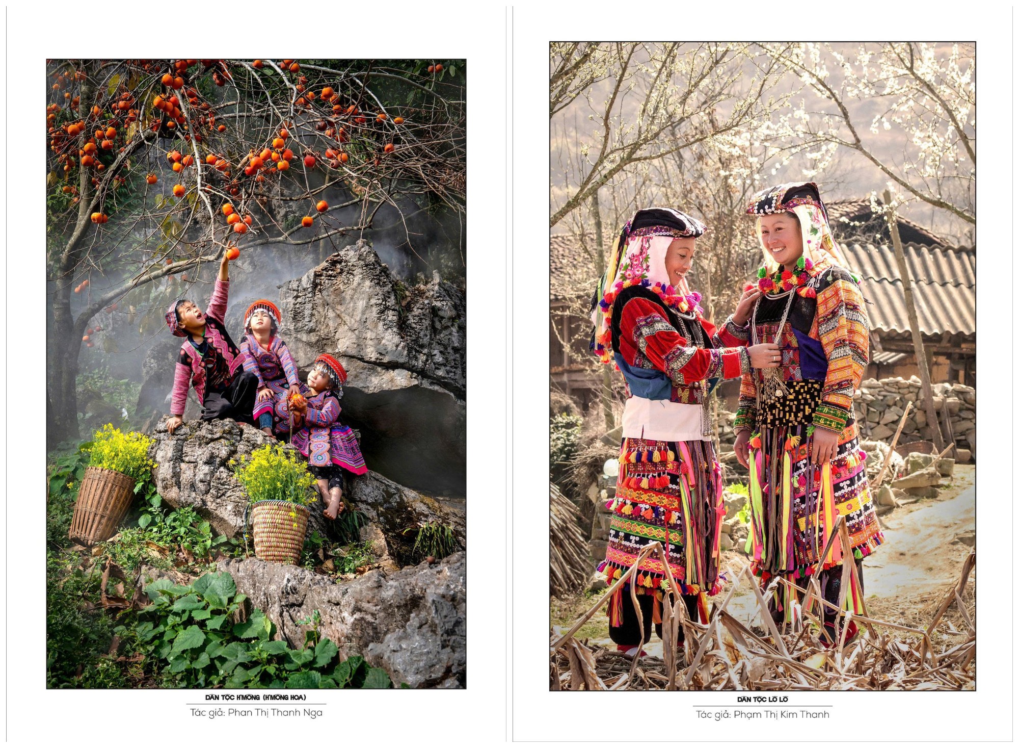 Ba thập kỷ tung cánh Hải Âu - 4