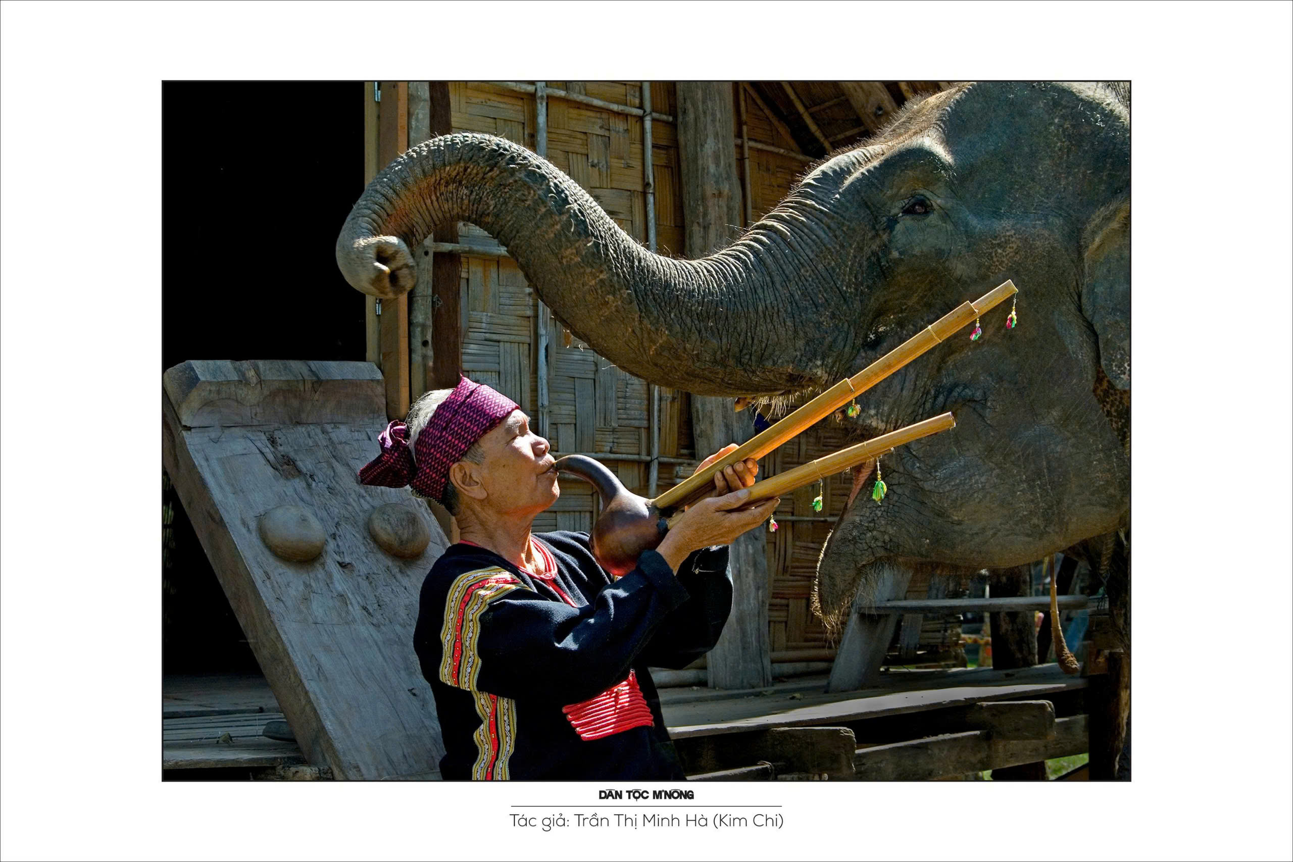 Ba thập kỷ tung cánh Hải Âu - 8