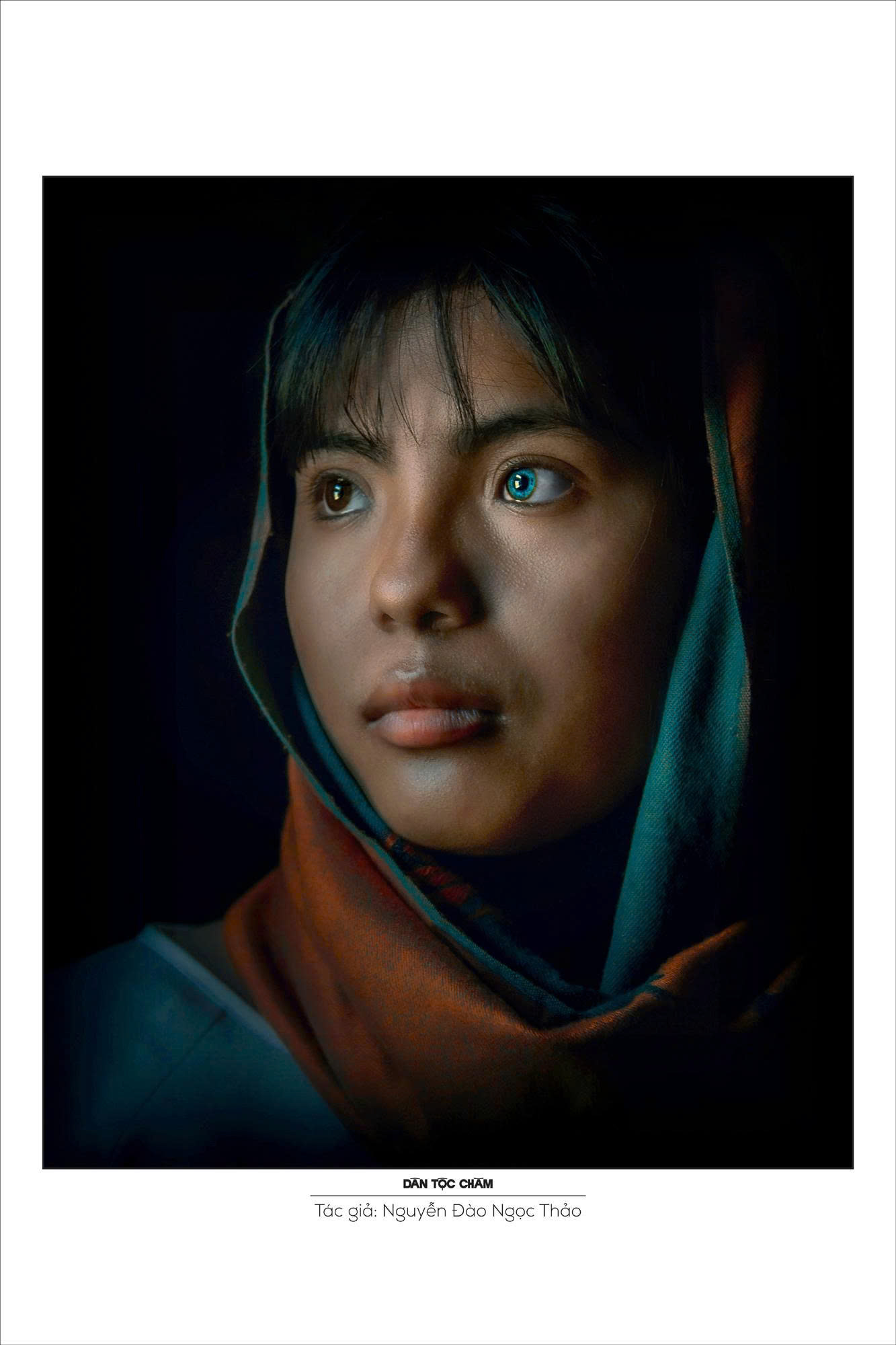 Ba thập kỷ tung cánh Hải Âu - 10