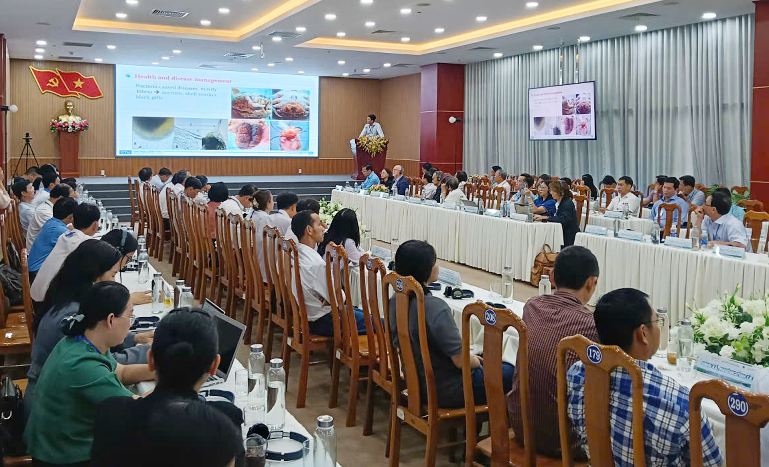 'Mở trói' cho cua Cà Mau - 1