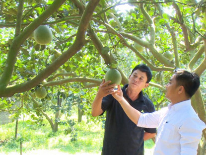 Xã Thường Tân: Tăng cường liên kết ‘bốn nhà’, phát triển OCOP và công nghệ cao