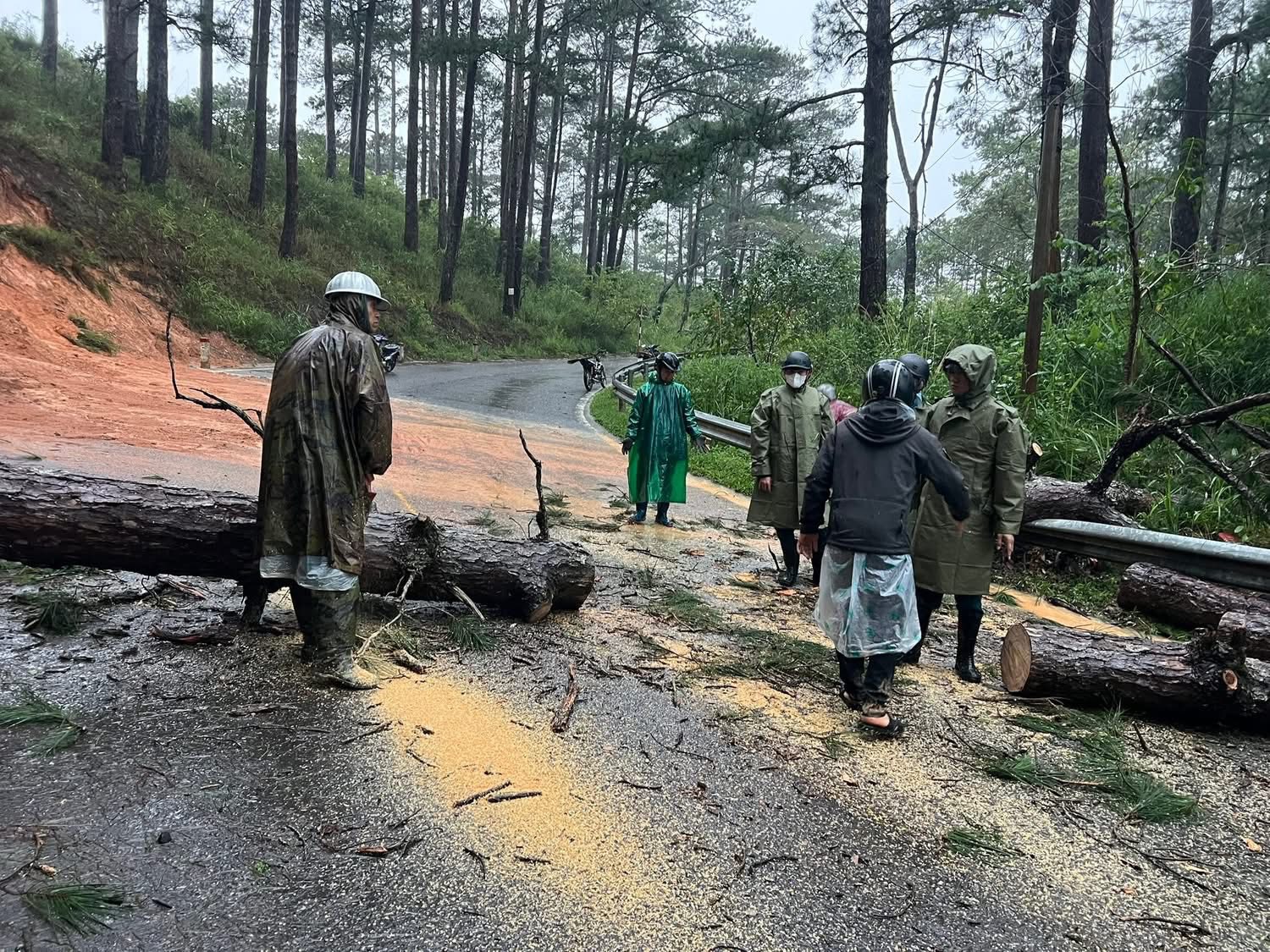 Thêm nhiều điểm sạt lở trên tuyến đèo nối tỉnh Khánh Hòa và Lâm Đồng - 2