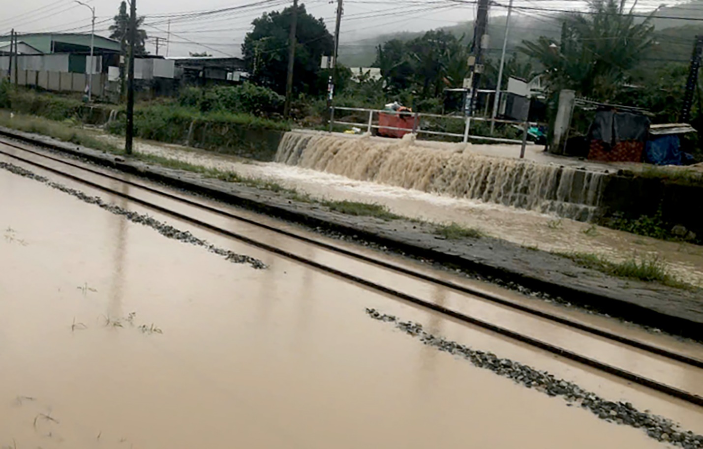don suc ung pho voi lu dac biet lon o dak lak, lu khan cap o gia lai - 5