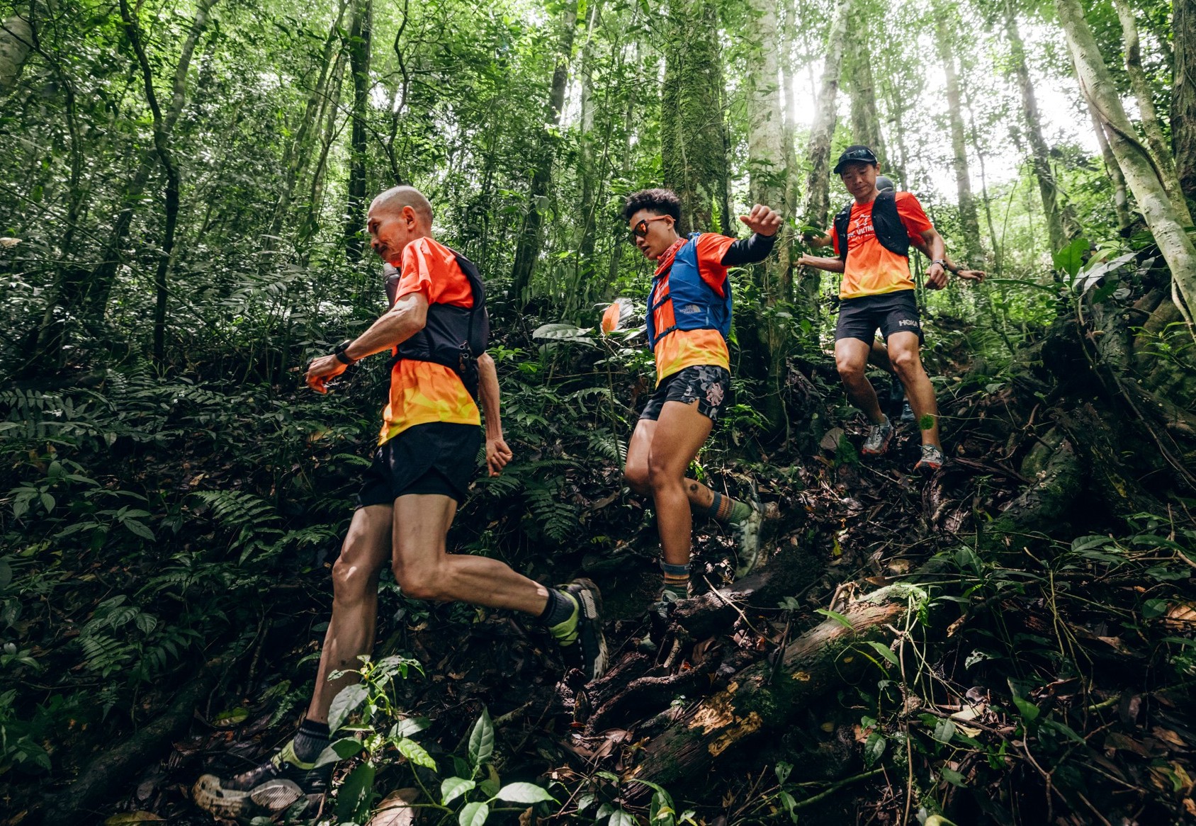 Giải chạy Vietnam Highlands Trail dời sang đầu năm 2026 - 1