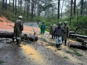  - Thêm nhiều điểm sạt lở trên tuyến đèo nối tỉnh Khánh Hòa và Lâm Đồng