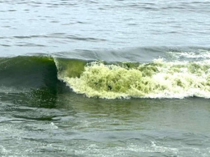  - Nước biển Vũng Tàu màu xanh lá có bất thường?