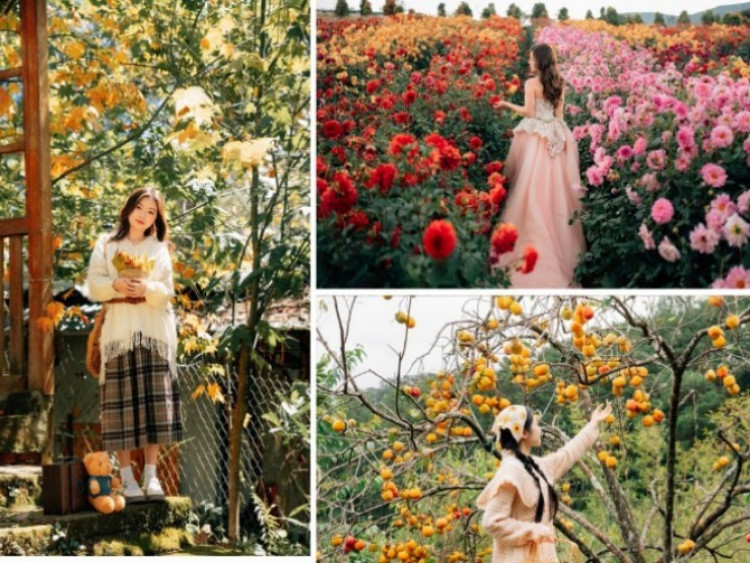 Những địa điểm không thể bỏ lỡ khi tới 