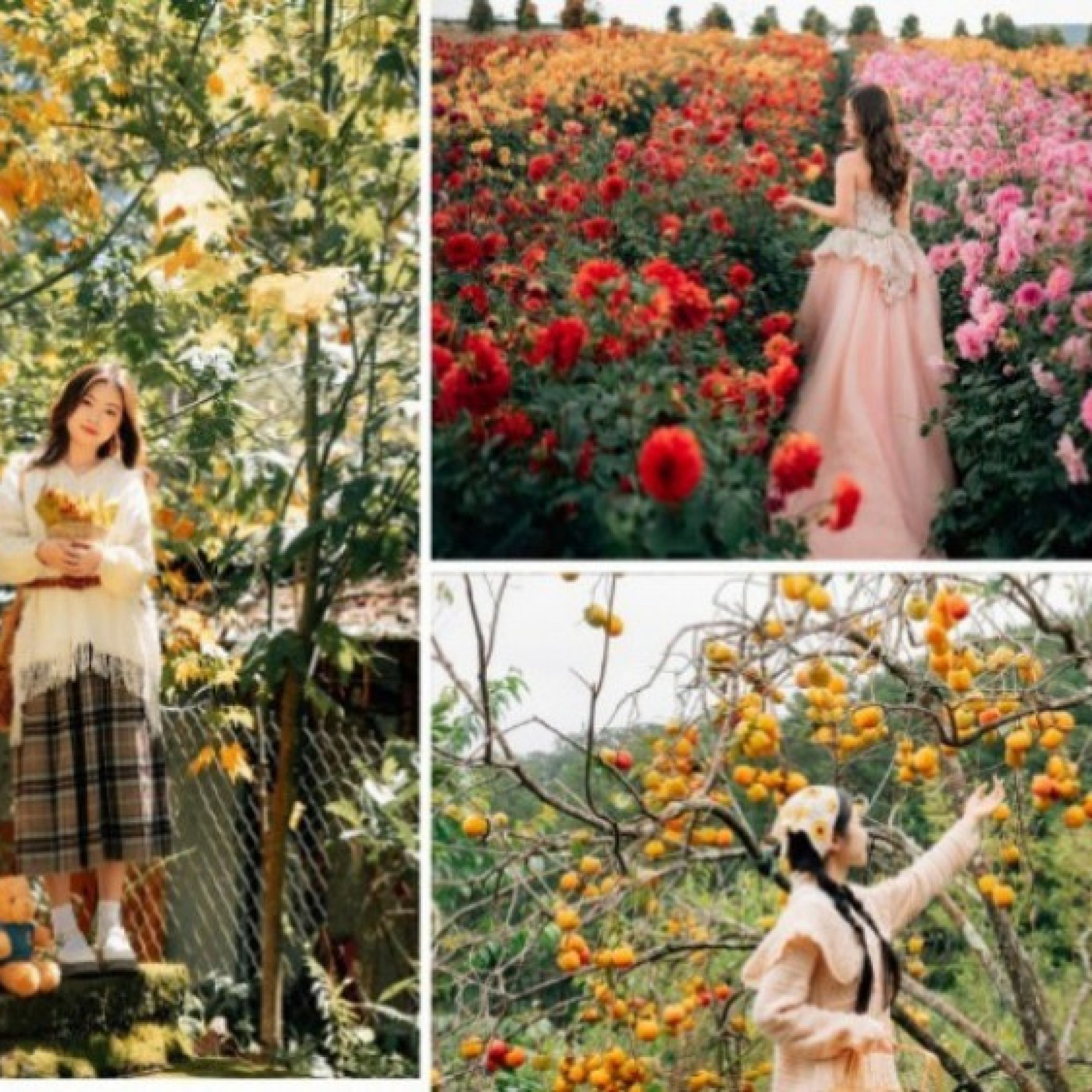  - Những địa điểm không thể bỏ lỡ khi tới "thành phố ngàn hoa"