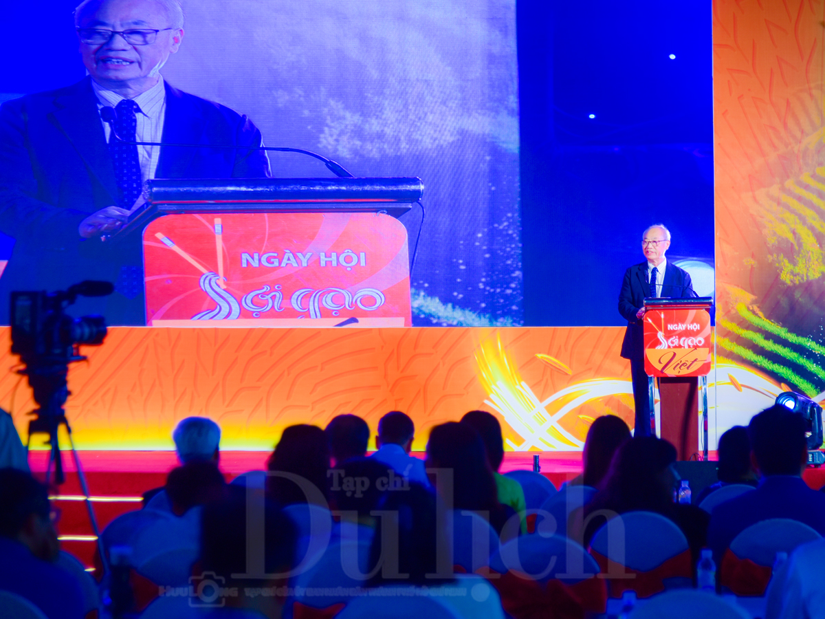 Du khách quốc tế háo hức chọn món ngon đêm khai mạc Lễ hội sợi gạo Việt - 16