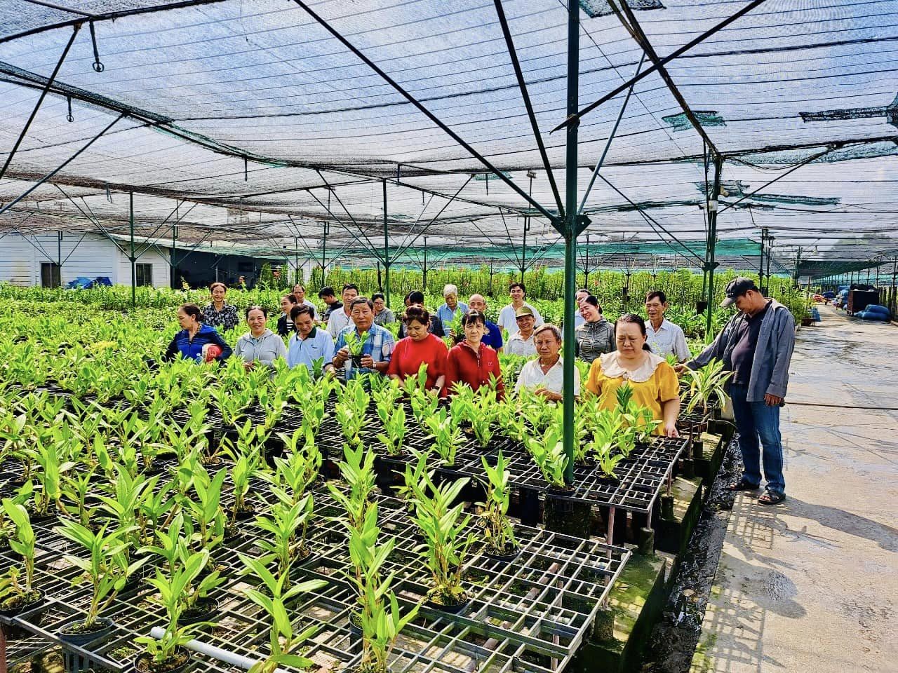 TP.HCM đặt hàng sinh viên tìm mô hình Hợp tác xã kiểu mới từ Luật 2023 - 1