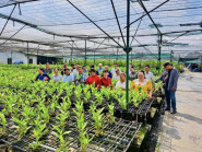 Chuyển động - TP.HCM đặt hàng sinh viên tìm mô hình Hợp tác xã kiểu mới từ Luật 2023