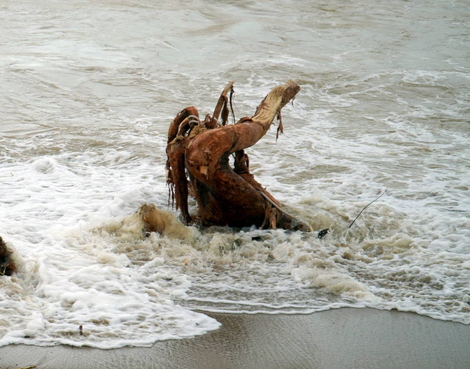 Hàng trăm người tình nguyện dọn lượng rác khổng lồ ở biển Nha Trang - 2