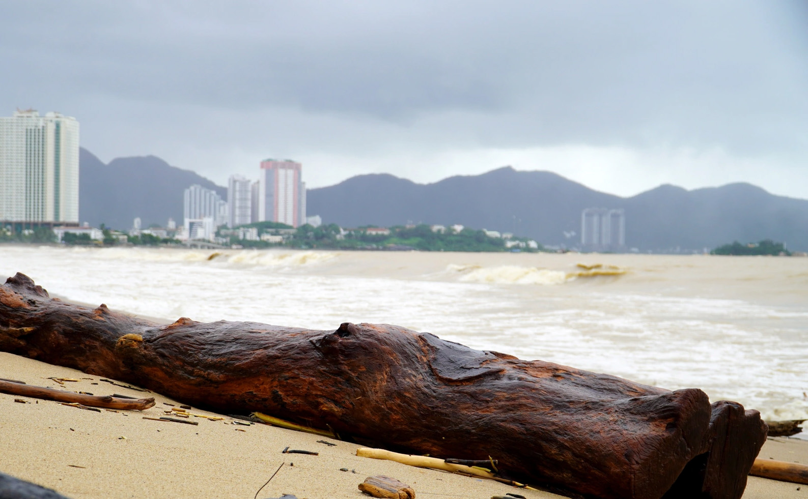 Hàng trăm người tình nguyện dọn lượng rác khổng lồ ở biển Nha Trang - 3