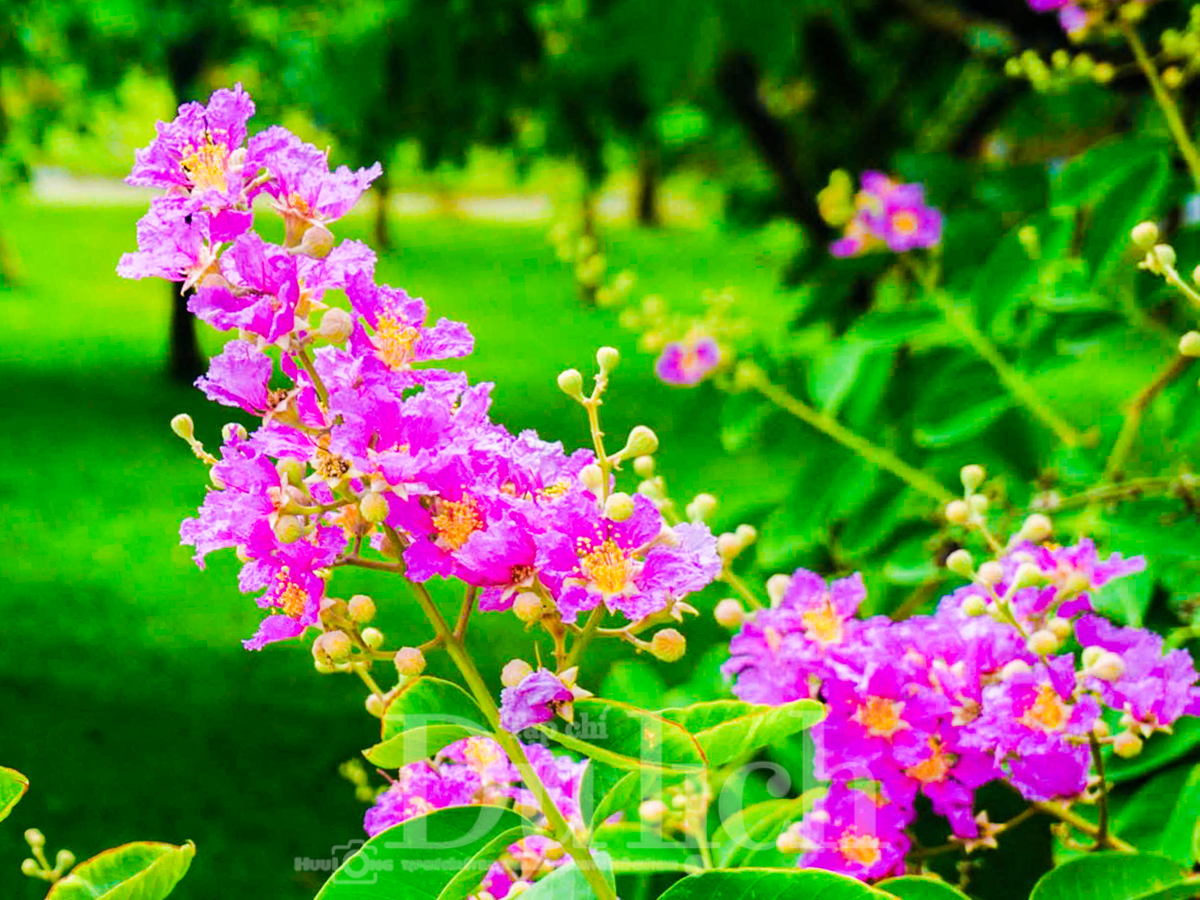 Bí thư Trần Lưu Quang về thăm Ngã Ba Giồng - Hành trình về nguồn thiêng liêng lịch sử - 6